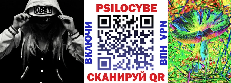 Псилоцибиновые грибы прущие грибы  купить наркоту  Отрадный 