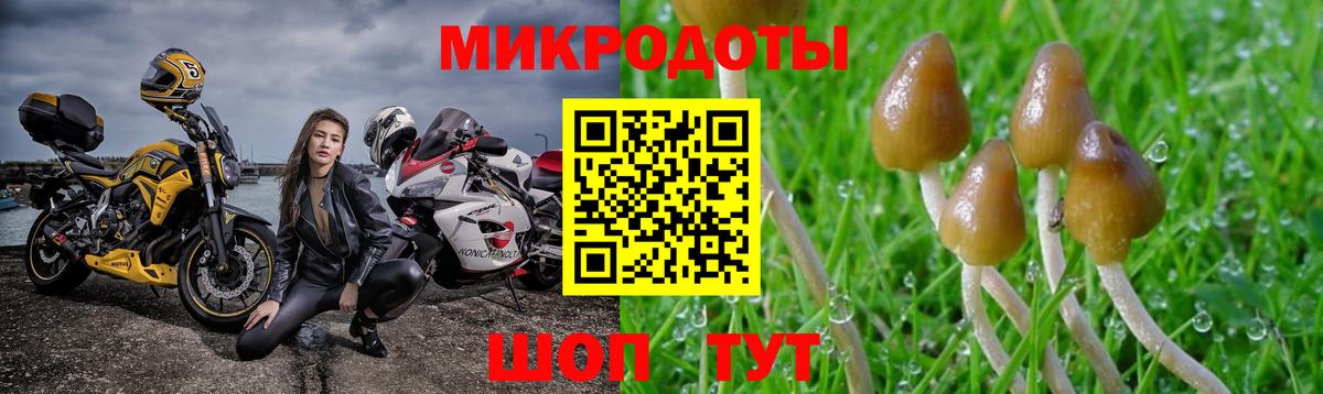 Галлюциногенные грибы мицелий Отрадный